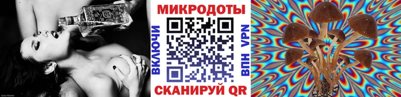 где можно купить наркотик  Осинники  Галлюциногенные грибы Psilocybine cubensis 